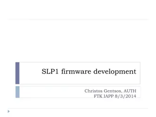 SLP1 Firmware Development Project Overview