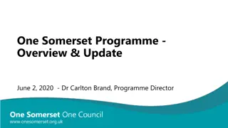 Local Government Reform in Somerset: Challenges and Future Plans