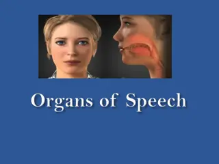 The Power of Speech: Respiratory System and Vocal Cords