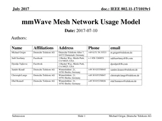 mmWave Mesh Network Usage Model in IEEE 802.11-17 Document