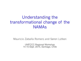Transformational Change in NAMAs: Understanding the Concept and Impact