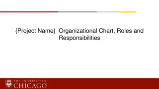 Project Roles and Responsibilities in Organizational Structure