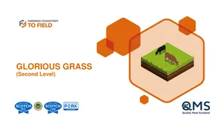 Discovering the Wonders of Grass in Scotland