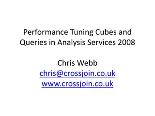 Boosting Query Performance in Analysis Services 2008