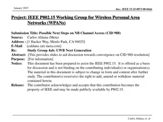 Possible Next Steps on NB Channel Access in IEEE P802.15 Working Group