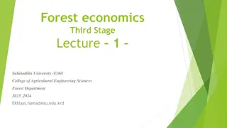 Forest Economics: Valuable Insights for Sustainable Management