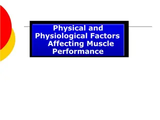 Factors Affecting Muscle Performance