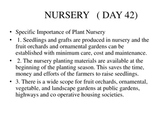 Importance of Plant Nurseries in Horticulture Development