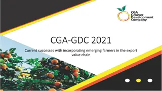 Success Stories of Black Citrus Producers' Empowerment in Export Value Chains
