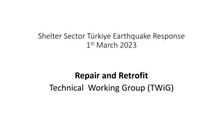 Response and Development Agenda for Turkey Earthquake Shelter Sector