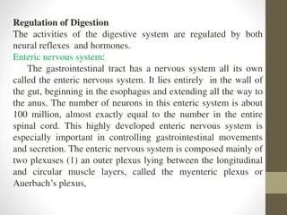 Regulation of Digestion: Neural and Hormonal Control in the Enteric Nervous System