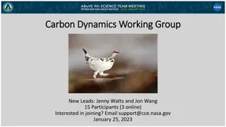 Exploring Carbon Dynamics Working Group Synthesis Projects and Activities