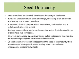 Seed Dormancy and Germination Process in Plants