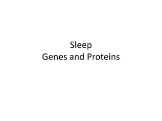 Genetics of Sleep and Phenotype Expression