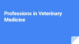 Veterinary Medicine Professions and Education Overview