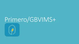 Primero/GBVIMS+: Protection Information Management System