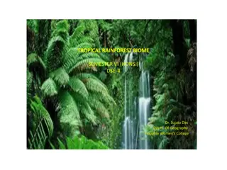Tropical Rainforest Biome: Biodiversity and Ecosystem Overview