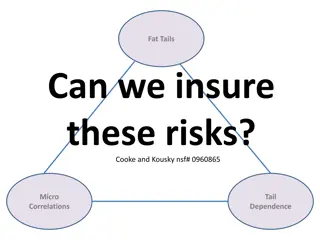 Risks, Insuring Fat Tails, and Mitigation Strategies