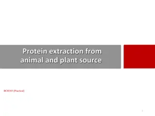 Protein Extraction Methods from Animal and Plant Sources