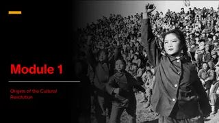 Unraveling the Cultural Revolution: Origins, Consequences & Criticism