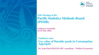 The Use Value of Durable Goods in Well-being Measurement