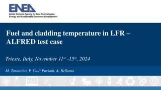 Fuel and Cladding Temperature in LFR ALFRED Test Case