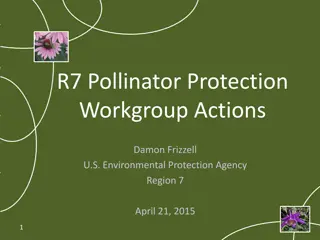 Pollinator Protection Initiatives in EPA Region 7
