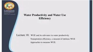 Water Use Efficiency and Its Impact on Crop Yield
