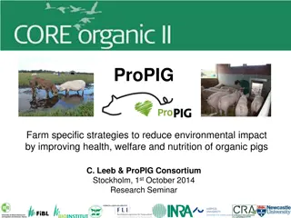 Strategies to Reduce Environmental Impact in Organic Pig Farming