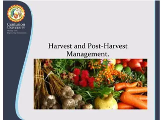 Effective Harvest and Post-Harvest Management Practices