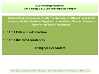 Cell Structure, Function, and Transport in Biology