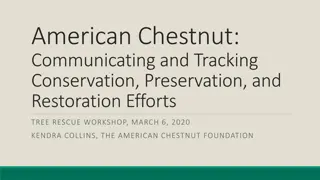 American Chestnut Conservation and Restoration Efforts Overview