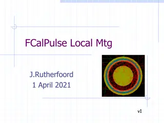 FCalPulse Local Meeting Updates and Equipment Descriptions