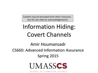 Covert Channels and Information Hiding in Cybersecurity
