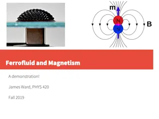 Magnetism and Ferrofluid Demonstrations