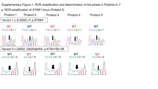 Amplification and Phase Determination of Genetic Loci in Patients