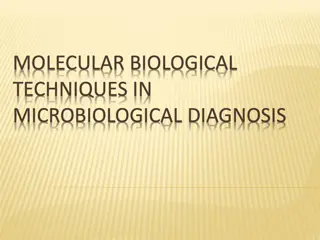 Nucleic Acid and Antigen Detection Methods