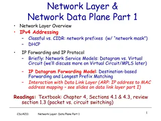 Network Layer Functions in Data Plane Part 1