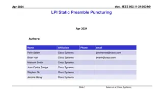 Static Preamble Puncturing in IEEE 802.11 Standards