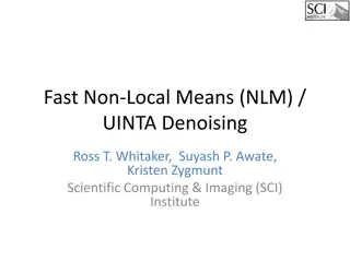 Fast Non-Local Means (NLM) and UINTA Denoising Techniques