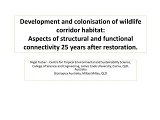 Wildlife Corridor Habitat Development and Connectivity Over 25 Years