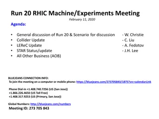 Run 20 RHIC Experiments Meeting Summary
