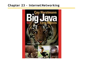 Internet Networking Basics