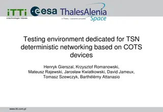 Dedicated Testing Environment for TSN Deterministic Networking