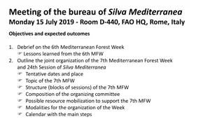Silva Mediterranea Bureau Meeting Objectives and Outcomes