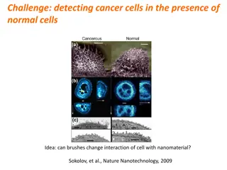 Innovative Approach for Cancer Cell Detection Using Nanomaterial Interaction