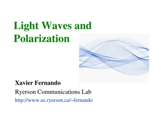 Light Waves, Polarization, and Quantum Theory