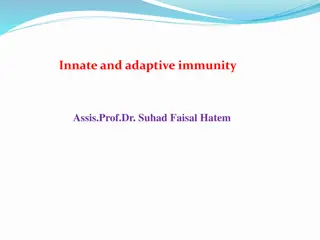 Role of Innate Immunity in the Body's Defense System