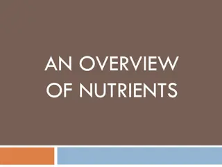 Nutrients and Their Importance in Nutrition