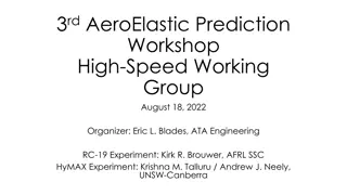 Aeroelastic Prediction Workshop: High-Speed Working Group Details